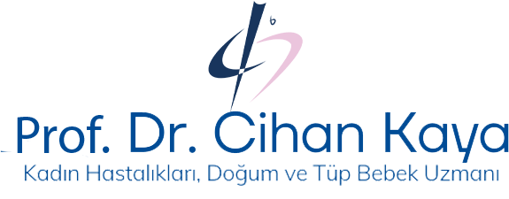 Prof. Dr. Cihan Kaya